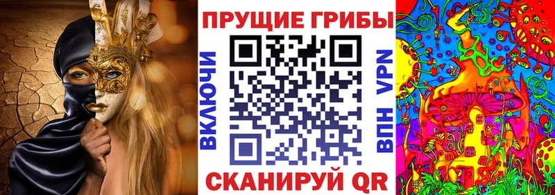 Псилоцибиновые грибы прущие грибы Выборг